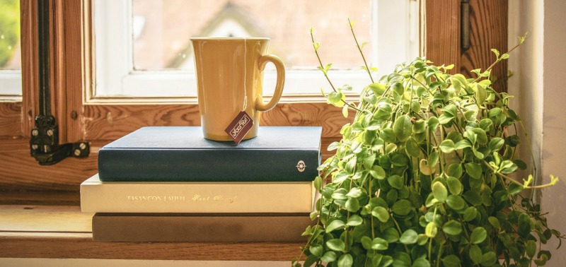 Gárdonyi és a német nyelv