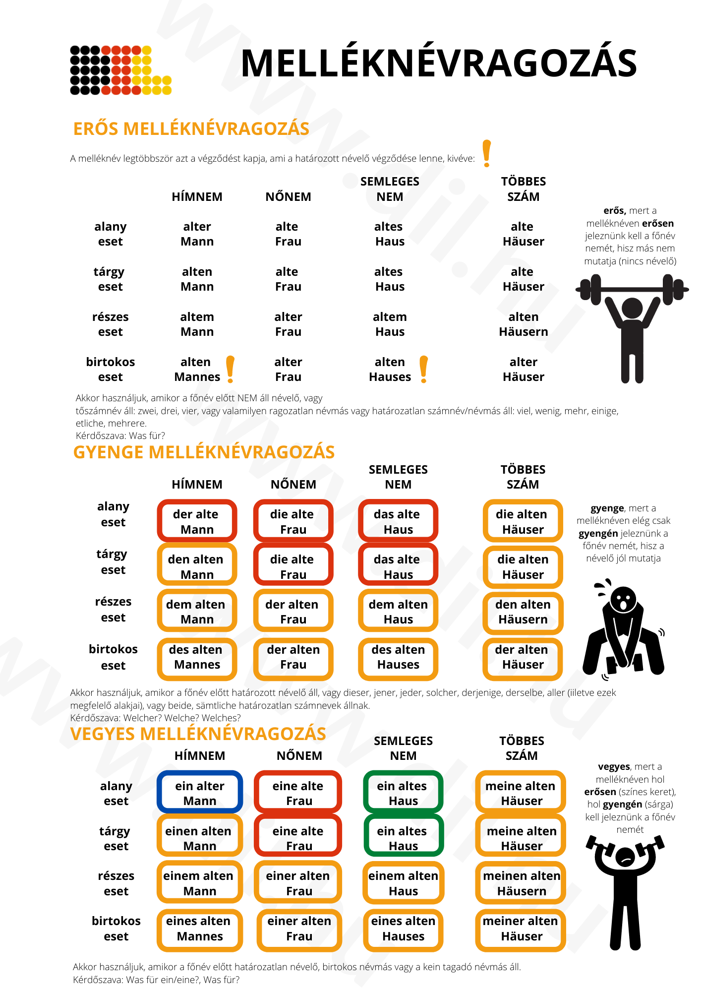 A német melléknévragozás rejtelmei